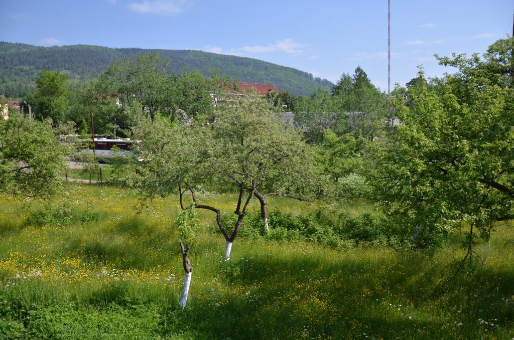 Rosinka Apartment Yaremche Luaran gambar